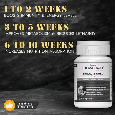 Balancekart Shilajit Gold 950mg Capsules for Men