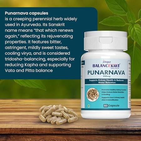 Balancekart Punarnava Capsules 500mg