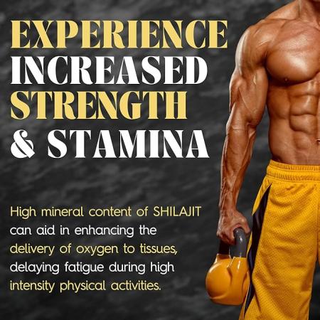 Balancekart Shilajit Gold 950mg Capsules for Men